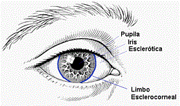 Sia Capacitaciones
